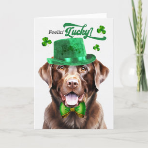 Cartes Pour Fêtes Annuelles Chocolat Lab Chien Feelin' Lucky St Patrick's Day