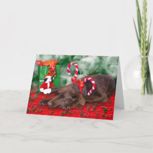 Cartes Pour Fêtes Annuelles Chocolat Lab Peppermint Stripe Texte personnalisé