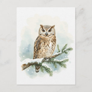 Cartes Pour Fêtes Annuelles Chouette aquarelle sur branche de pin enneigée
