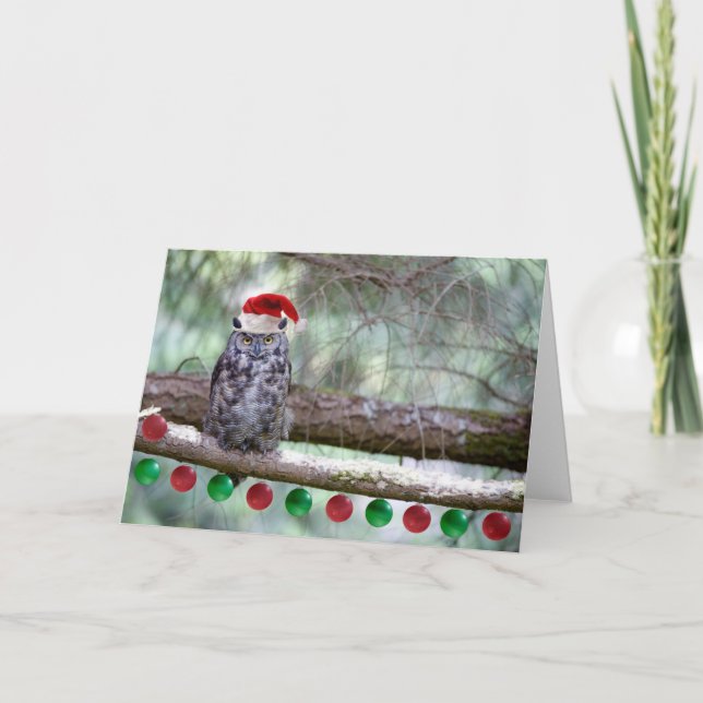 Cartes Pour Fêtes Annuelles Chouette de Noël (Devant)