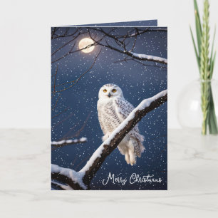 Cartes Pour Fêtes Annuelles Chouette neige de Noël dans les flocons de neige