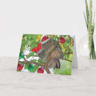 Cartes Pour Fêtes Annuelles Chouettes à cris de l'Ouest Noël