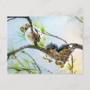 Cartes Pour Fêtes Annuelles Chouettes Bébé mignonnes Vide Toutes les occasions