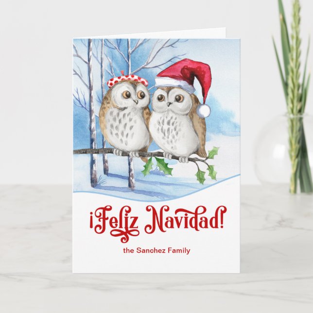Cartes Pour Fêtes Annuelles Chouettes d'hiver Feliz Navidad (Devant)