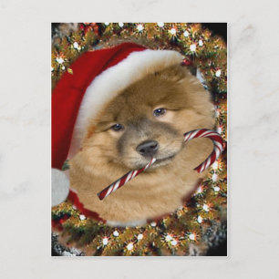 Cartes Pour Fêtes Annuelles Chow Chow Noël cadeaux de Sucre de canne