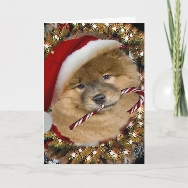 Cartes Pour Fêtes Annuelles Chow Christmas Candy (Devant)