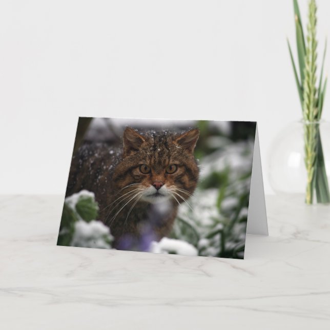 Cartes Pour Fêtes Annuelles Christmas (Devant)