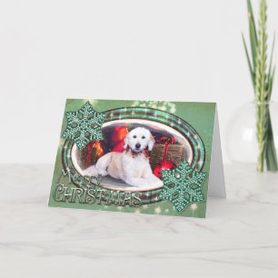 Cartes Pour Fêtes Annuelles Christmas