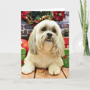 Cartes Pour Fêtes Annuelles Christmas