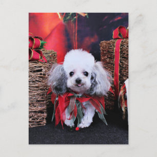 Cartes Pour Fêtes Annuelles Christmas