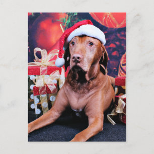 Cartes Pour Fêtes Annuelles Christmas