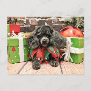 Cartes Pour Fêtes Annuelles Christmas