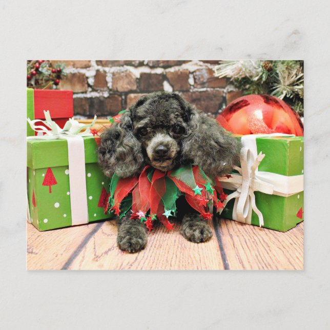 Cartes Pour Fêtes Annuelles Christmas (Devant)