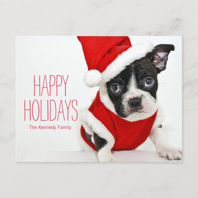 Cartes Pour Fêtes Annuelles Christmas boston terrier (Devant)