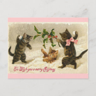 Cartes Pour Fêtes Annuelles Christmas Cats