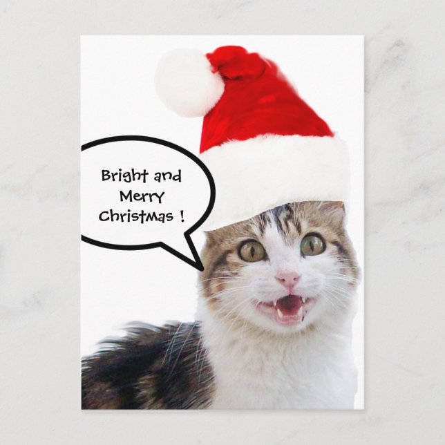 CARTES POUR FÊTES ANNUELLES CHRISTMAS CHAT AVEC CASQUETTE SANTA CLAUS (Devant)