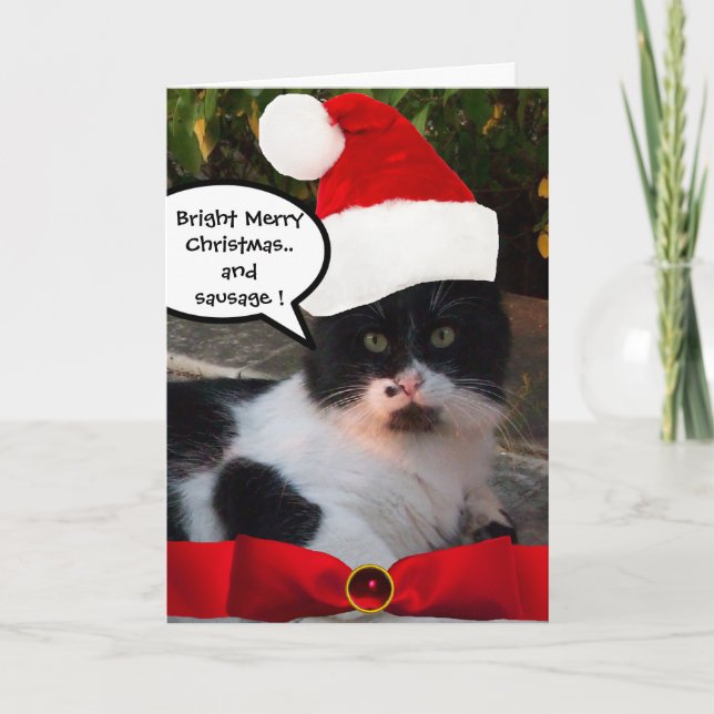 CARTES POUR FÊTES ANNUELLES CHRISTMAS CHAT AVEC CASQUETTE SANTA CLAUS ET RIBBO (Devant)