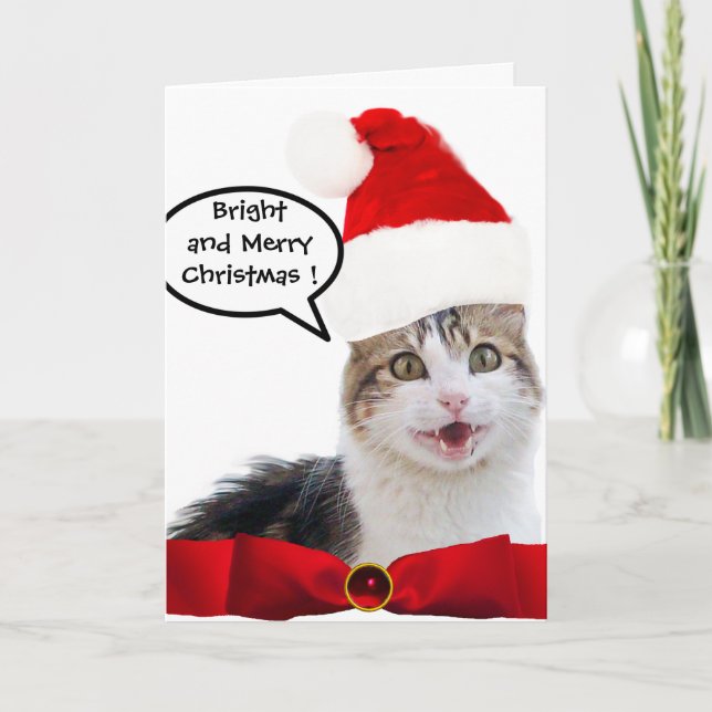 CARTES POUR FÊTES ANNUELLES CHRISTMAS CHAT AVEC CASQUETTE SANTA CLAUS ET RIBBO (Devant)