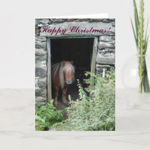 CARTES POUR FÊTES ANNUELLES CHRISTMAS CHEVAUX ET PONIES