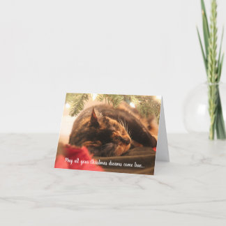 Cartes Pour Fêtes Annuelles Christmas Dreams Sleeping Calico Cat, Personalized
