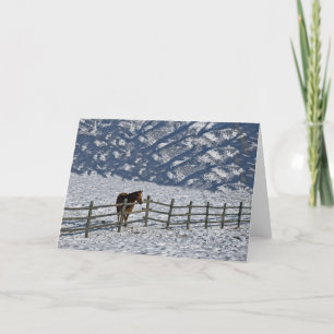 Cartes Pour Fêtes Annuelles Christmas in Bozeman, Montana