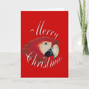 Cartes Pour Fêtes Annuelles Christmas Macaw