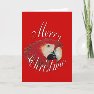 Cartes Pour Fêtes Annuelles Christmas Macaw