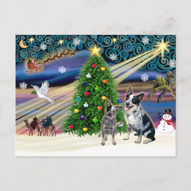 Cartes Pour Fêtes Annuelles Christmas Magic Australian Cattle Dogs (deux) (Devant)
