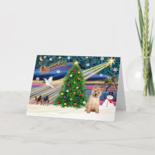 Cartes Pour Fêtes Annuelles Christmas Magic Cairn Terrier Pup
