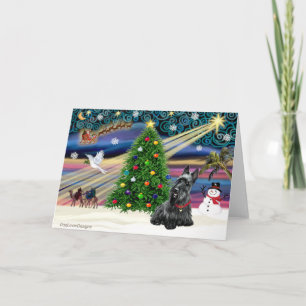 Cartes Pour Fêtes Annuelles Christmas Magtish Terrier écossais 2B