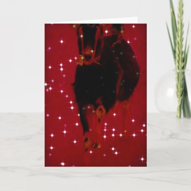 Cartes Pour Fêtes Annuelles Christmas Misha (Devant)