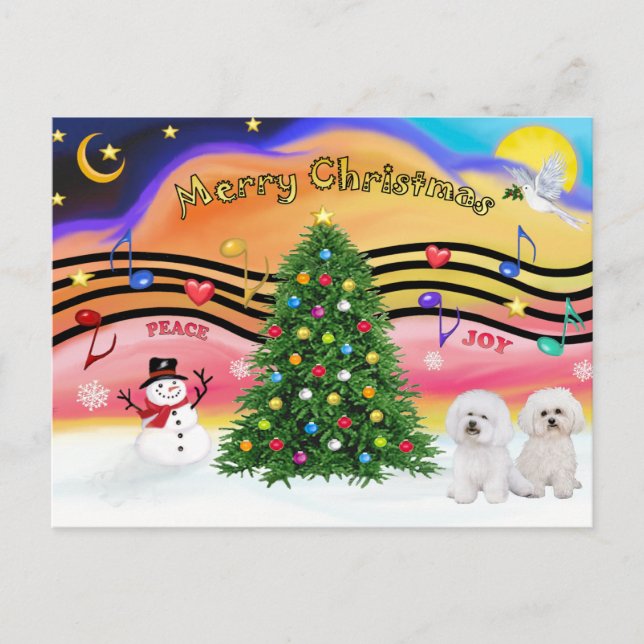 Cartes Pour Fêtes Annuelles Christmas Music 2 - Bichon Frise (deux) (Devant)