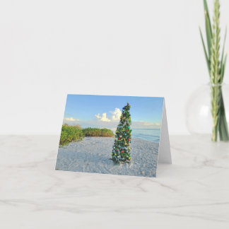 Cartes Pour Fêtes Annuelles Christmas on Sanibel holiday note cards