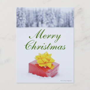 Cartes Pour Fêtes Annuelles Christmas parcel in snowy landscape