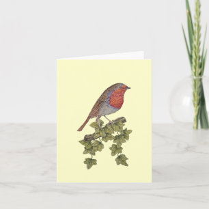 Cartes Pour Fêtes Annuelles Christmas robin and ivy leaves illustration