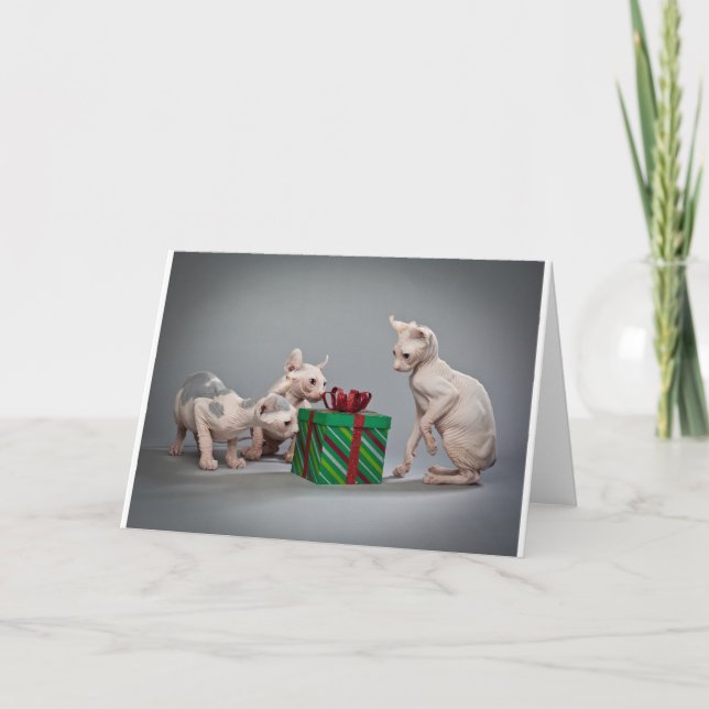 CARTES POUR FÊTES ANNUELLES CHRISTMAS SANS CHEVEUX (Devant)