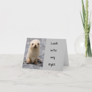 CARTES POUR FÊTES ANNUELLES CHRISTMAS SEAL DIT "JOYEZ NOËL" À "VOUS"