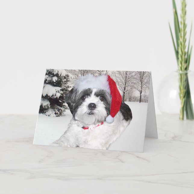 Cartes Pour Fêtes Annuelles Christmas Shih Tzu (Devant)