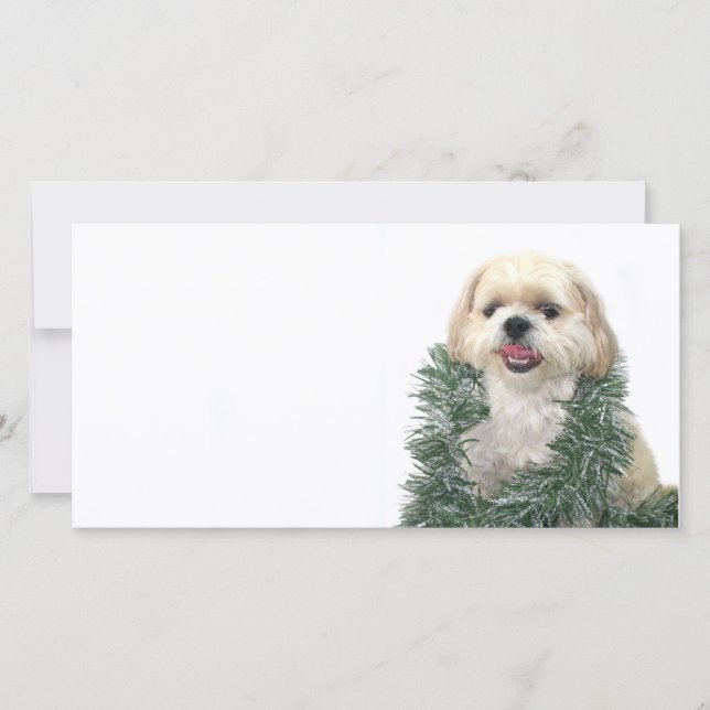 Cartes Pour Fêtes Annuelles Christmas Shih Tzu (Devant)