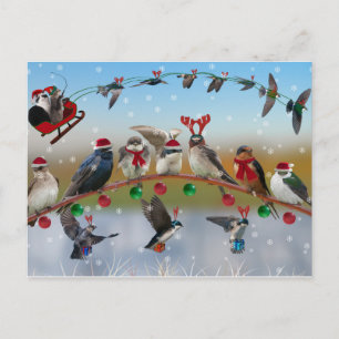 Cartes Pour Fêtes Annuelles Christmas Swallows