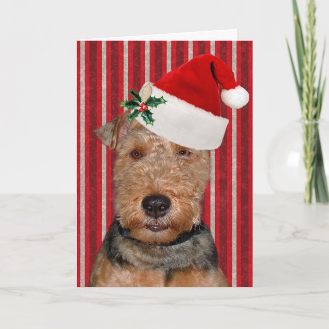 Cartes Pour Fêtes Annuelles Christmas Welsh Terrier avec Casquette (Devant)