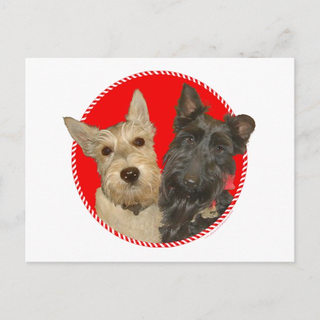 Cartes Pour Fêtes Annuelles Christmas Wheaten & Black Scotties (Devant)