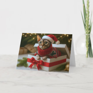Cartes Pour Fêtes Annuelles Christmas Whiskers & Wrinkles Card