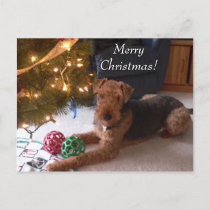 Cartes Pour Fêtes Annuelles Christmas with Madeleine Postcard