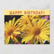 Chrysanthème Jaune/Jaune/Joyeux Anniversaire/