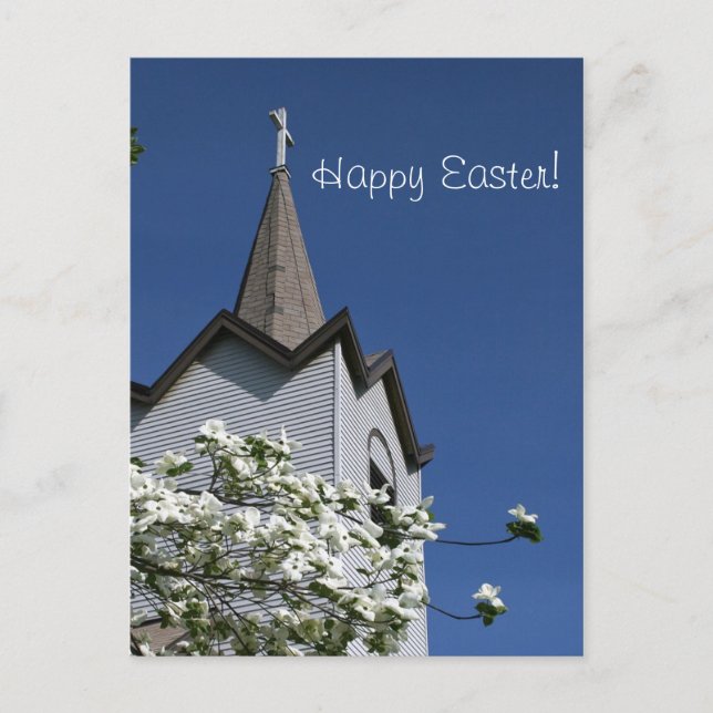 Cartes Pour Fêtes Annuelles Church Steeple and Dogwood Postcard (Devant)