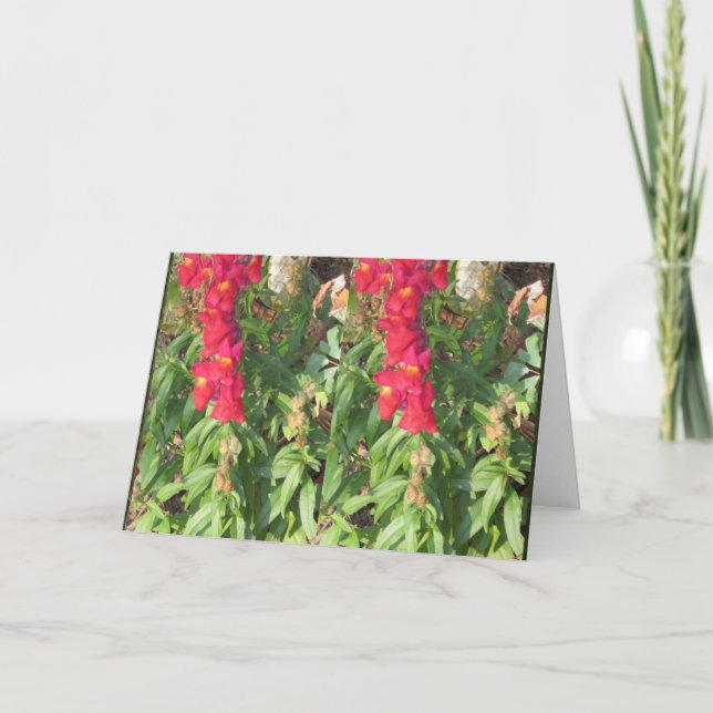 Cartes Pour Fêtes Annuelles Ciel Paysage Eau Fleurs Lac Étang CADEAUX amusant (Devant)