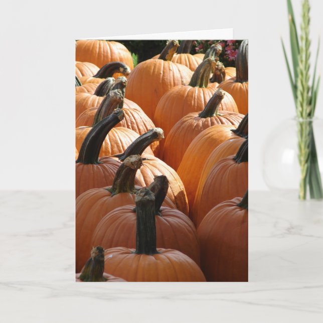 Cartes Pour Fêtes Annuelles Citrouilles, Thanksgiving (Devant)