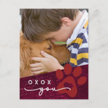 Classe Valentine Enfant Animaux de compagnie Photo