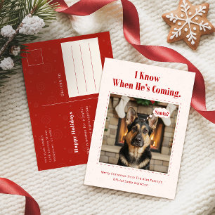 Cartes Pour Fêtes Annuelles Classique Joyeux Drôle Chien Photo Noël